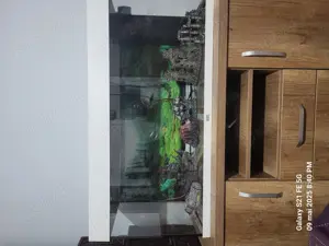 Acvariu 180 litri - imagine 2 Acvariu 180 litri - imagine 2