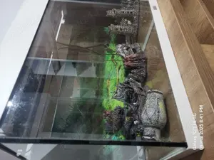 Acvariu 180 litri - imagine 3 Acvariu 180 litri - imagine 3