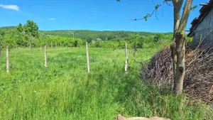 Casa de Vanzare Baiculesti Arges - imagine 14