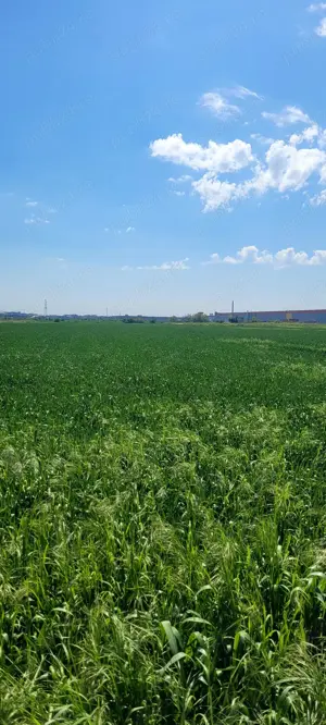 Teren de vanzare - imagine 3