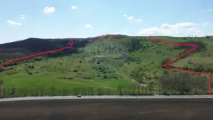 Domeniu - 66 Hectare - Teren deosebit Copsa Mica cu deschidere la DN14 - imagine 3