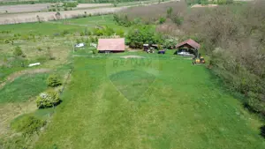 Domeniu - 66 Hectare - Teren deosebit Copsa Mica cu deschidere la DN14 - imagine 12