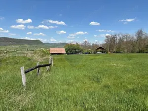 Domeniu - 66 Hectare - Teren deosebit Copsa Mica cu deschidere la DN14 - imagine 9