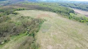 Domeniu - 66 Hectare - Teren deosebit Copsa Mica cu deschidere la DN14 - imagine 11