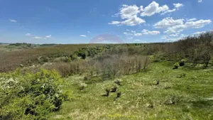 Domeniu - 66 Hectare - Teren deosebit Copsa Mica cu deschidere la DN14 - imagine 8