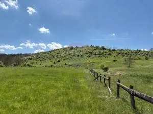 Domeniu - 66 Hectare - Teren deosebit Copsa Mica cu deschidere la DN14 - imagine 4