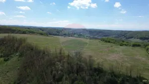 Domeniu - 66 Hectare - Teren deosebit Copsa Mica cu deschidere la DN14 - imagine 10