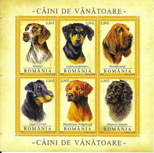 Romania 2005 - Caini de vanatoare, bloc de 6, MNH, LP1694a