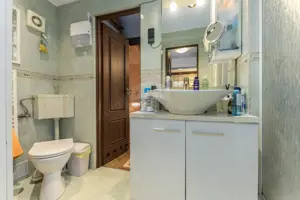 Refugiu elegant în inima Bucureștiului – Proprietate cu suflet - imagine 18