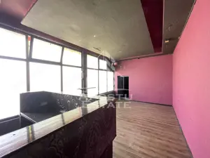 Spatiu comercial, 255 mp + curte betonata, Ronat - imagine 3