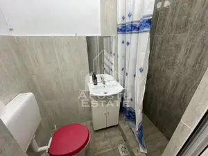 Spatiu comercial, 255 mp + curte betonata, Ronat - imagine 6