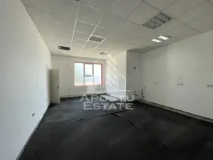 Spatiu comercial, 255 mp + curte betonata, Ronat - imagine 11