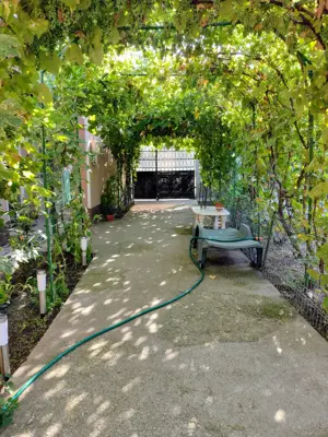 Oportunitate! Proprietate in judetul Arges cu condiții de oraș  - imagine 8