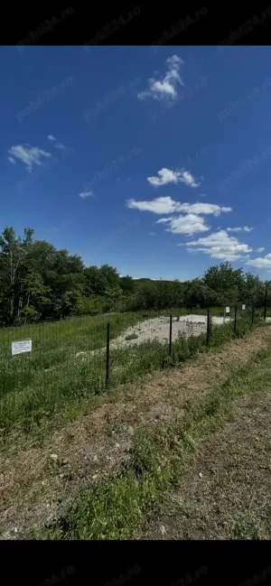 Teren de vanzare Babana(Slatioare-Ciobanesti - imagine 15