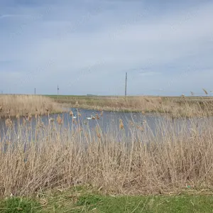 Vând casa la tara - imagine 10