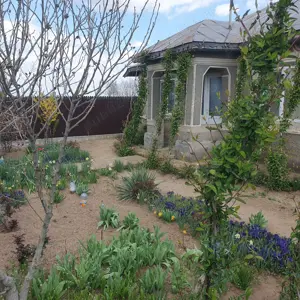 Vând casa la tara - imagine 11