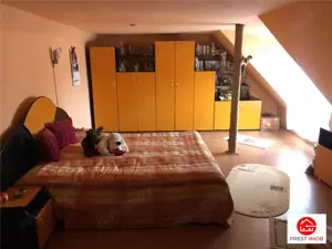 De vanzare casa in Cristesti - imagine 8