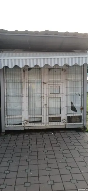 Modul stradal (tonetă)