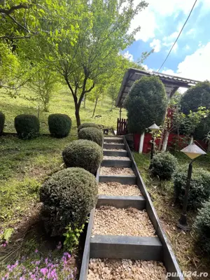 Vand cabana casa de vacanta - imagine 5