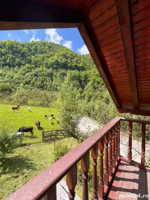 Vand cabana casa de vacanta - imagine 4