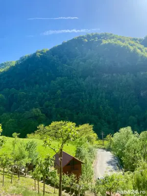 Vand cabana casa de vacanta - imagine 2