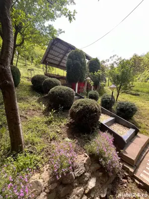 Vand cabana casa de vacanta - imagine 10