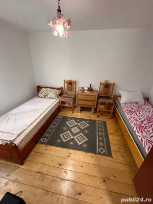 Vand cabana casa de vacanta - imagine 7