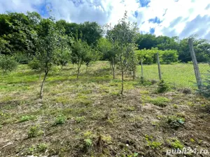 Vand cabana casa de vacanta - imagine 6