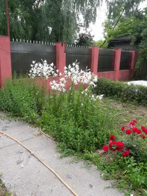 De vanzare casa cu livada - imagine 2