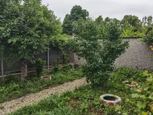 Vând sau schimb casa d+p+e+m 200 mp+175 mp teren Băneasa zona Garlei, Regina Maria  - imagine 2