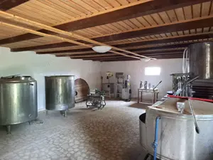 Crama de vanzare Odobesti -Vartescoiu - imagine 6