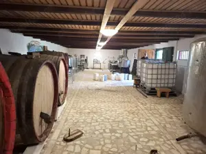 Crama de vanzare Odobesti -Vartescoiu - imagine 2