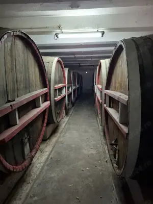 Crama de vanzare Odobesti -Vartescoiu - imagine 3