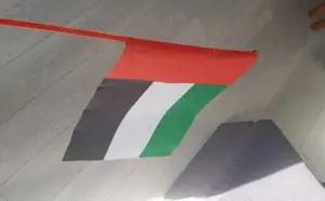 Steag Emiratele Arabe Unite