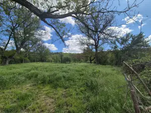 Vand loc de casa Goruia