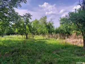 Teren si casa Fierbinți-Târg - imagine 6