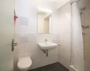 Regim Hotelier Garsoniere Apartamente  - imagine 3