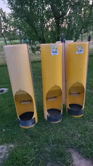 Vand hranitori porci