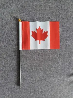 Steag Canada | Drapel