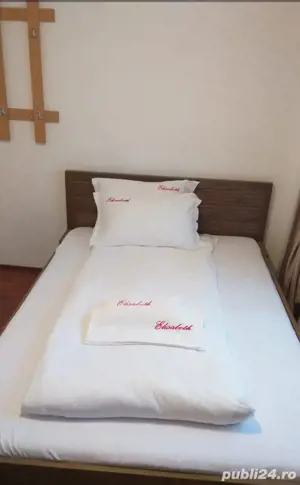 Vilă Turistica Straja HD - imagine 7