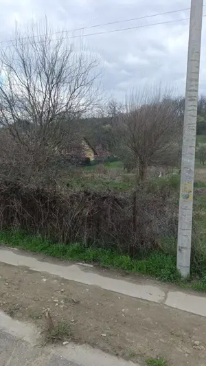 Teren   Goranu   Zona Peugeot   - imagine 3