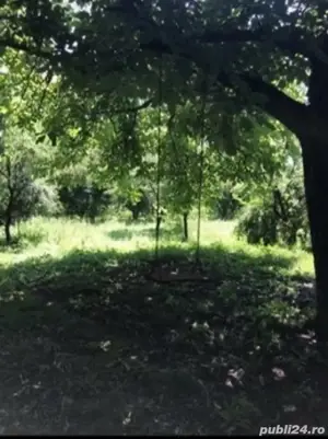 Vând 1200 mp (teren intravilan+ casă), Leu , jud Dolj livada pomi - imagine 7
