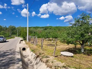 Teren de vamzare 2500 mp intravilan in Manga,com Voinesti ,Dambovita - imagine 5