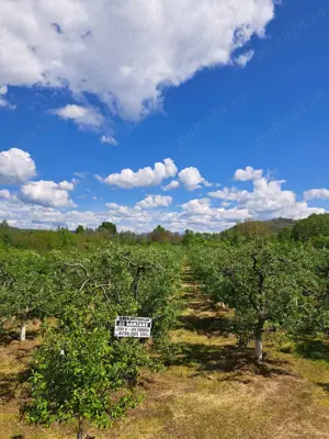 Teren de vamzare 2500 mp intravilan in Manga,com Voinesti ,Dambovita