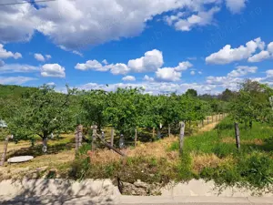 Teren de vamzare 2500 mp intravilan in Manga,com Voinesti ,Dambovita - imagine 3