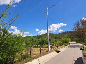 Teren de vamzare 2500 mp intravilan in Manga,com Voinesti ,Dambovita - imagine 4