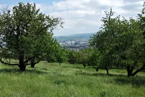 Teren intravilan, 2367 mp, Colonia Breaza, Cluj-Napoca - imagine 4