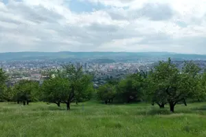 Teren intravilan, 2367 mp, Colonia Breaza, Cluj-Napoca
