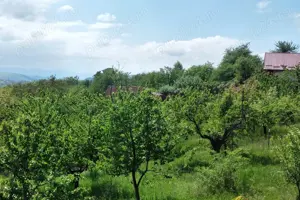 Teren intravilan, 2367 mp, Colonia Breaza, Cluj-Napoca - imagine 2