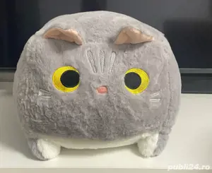 Pisicuta plus forma patrata, stoc  1 buc mari ,1 buc mici